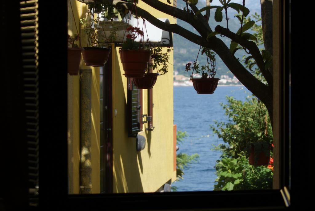 Apartments Matkovic Kotor Habitación foto
